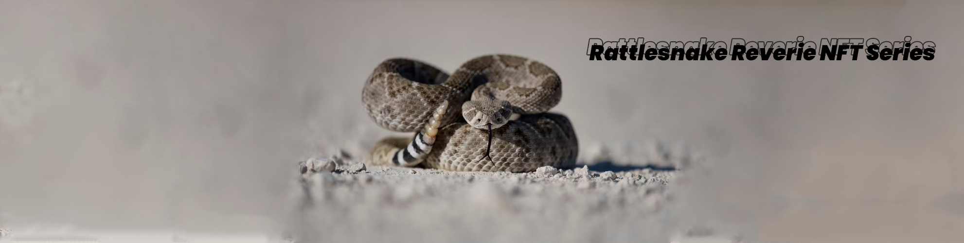 bafybeib7zqnjuqfvhhhg2wesjlnvholsmlvejgsr4n2un3gtlpmgjwrypq