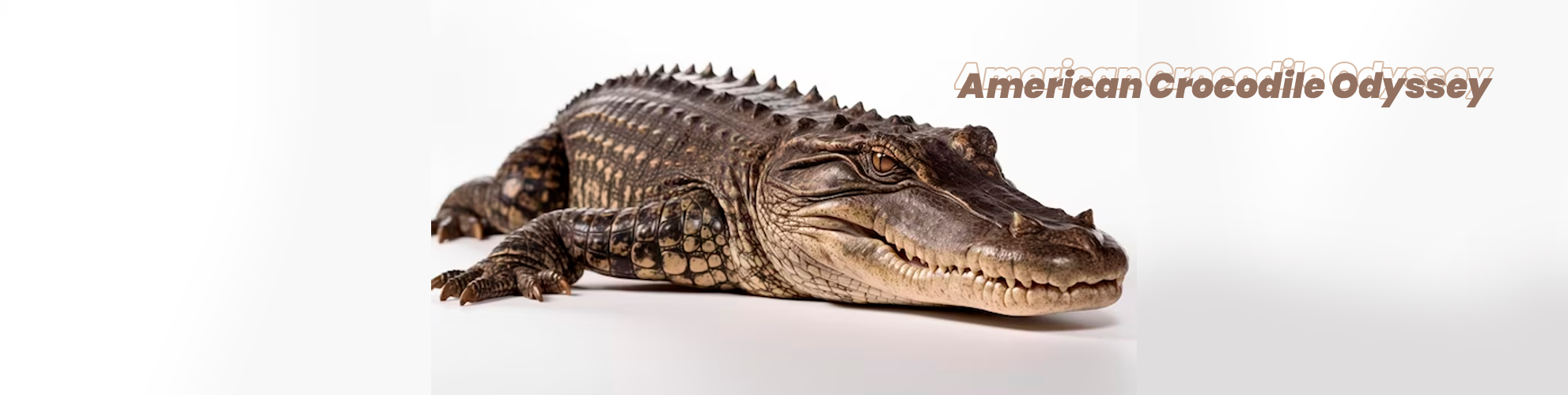 bafybeiccd2ioav5ykuaorwpgxtkykfjxpkx3buwurbll5nuy7tjwcolb6m