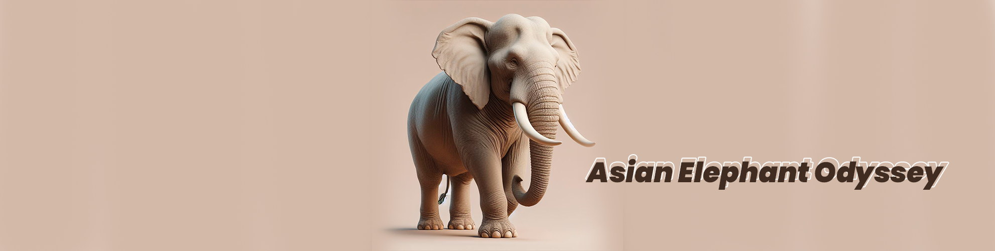 bafybeie7phhccuwwpcvgydmk7x6nnkx3xy4fk33k3ipwfu6aqfq352pylq