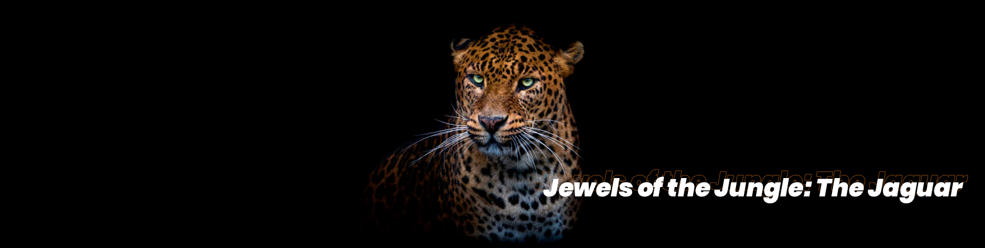 bafybeifchrlwoauzx6uyvtcefg3uoii24rpcgn3cumgunas727jiby5z3y